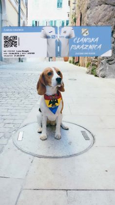 Luna-Beagle-prvi-pas-ulanjen-u-nogometni-klub-Rijeka