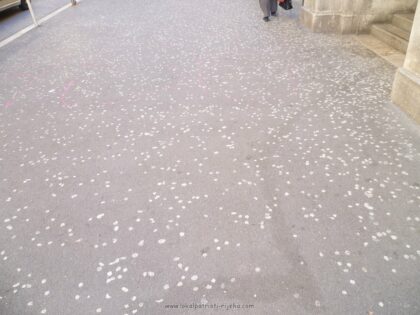 zvakaće gume Prva riječka hrvatska gimnazija