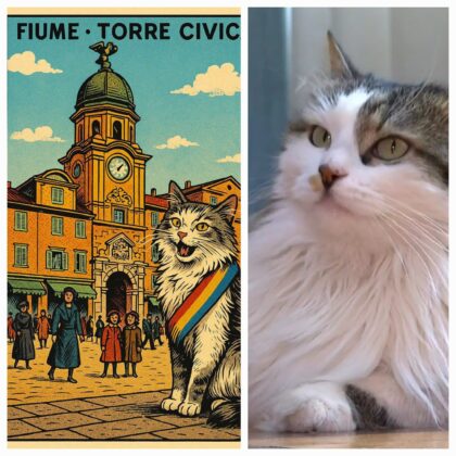 Miško – prvi mačak Grada Rijeke