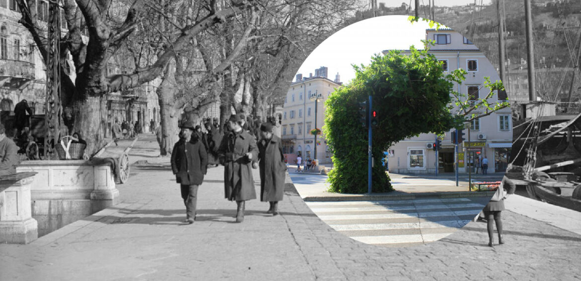 Sjećate se stare male platane na Fiumari